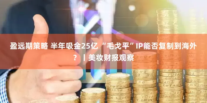 盈远期策略 半年吸金25亿 “毛戈平”IP能否复制到海外？丨美妆财报观察