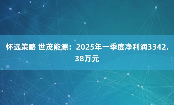 怀远策略 世茂能源：2025年一季度净利润3342.38万元